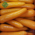 fabricant de carottes usine de porcelaine de carotte fraîche